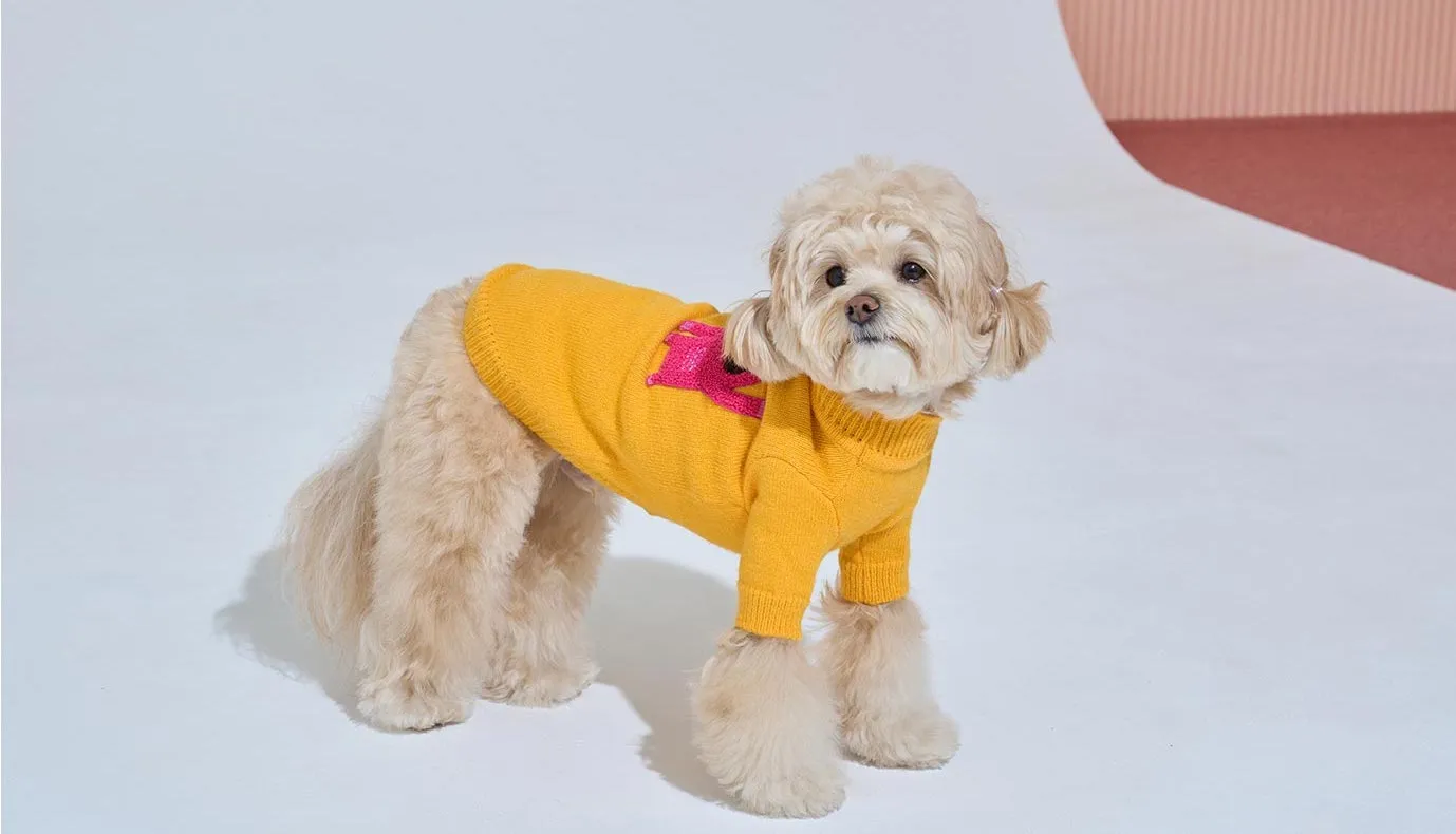 Korean Design Knitted Gorilla Dog / Cat Jumper - Pink / Orange / Blue / Green