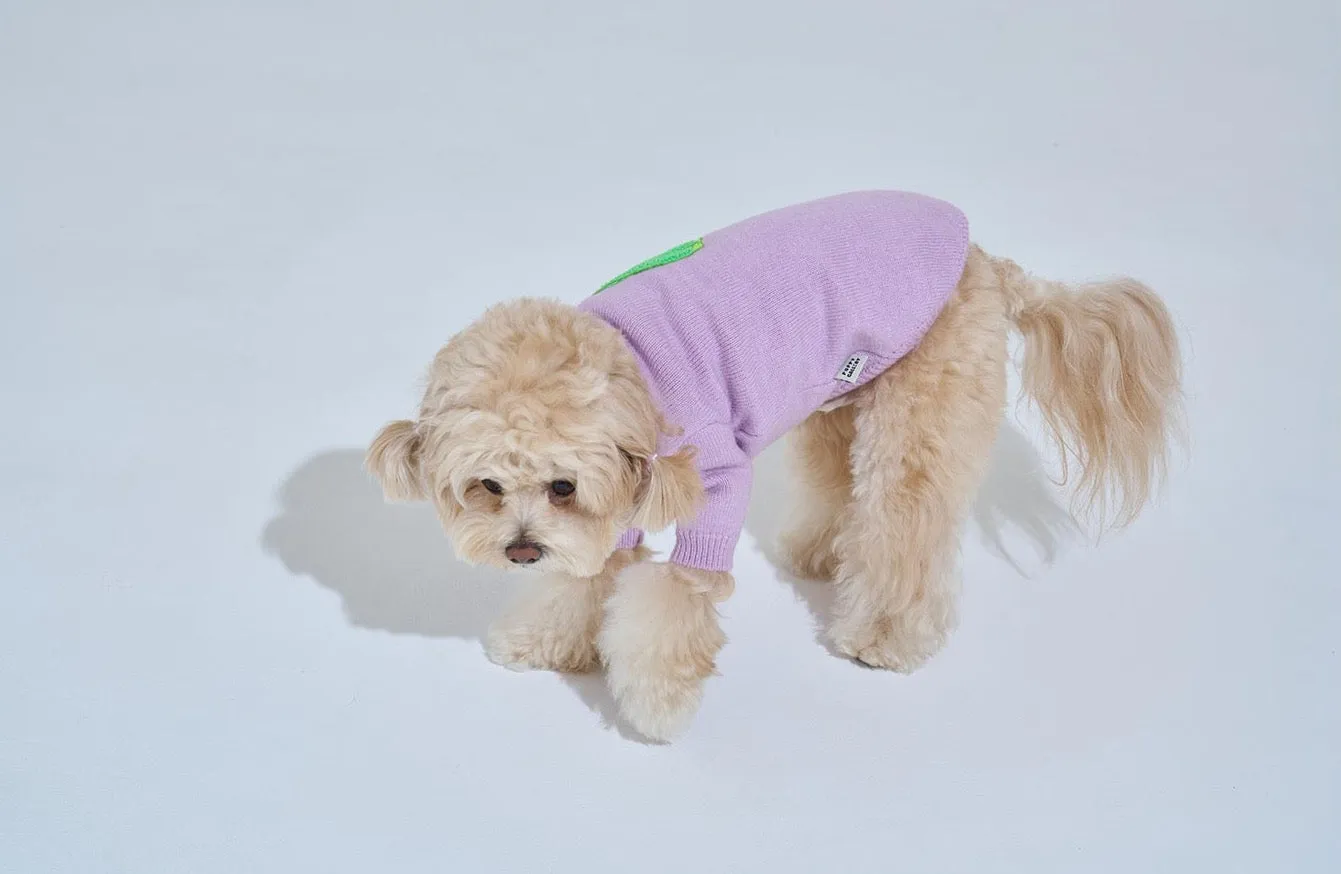 Korean Design Knitted Gorilla Dog / Cat Jumper - Pink / Orange / Blue / Green